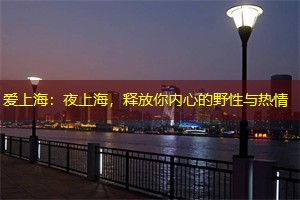 爱上海：夜上海，释放你内心的野性与热情